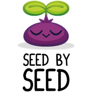 Le studio Seed by Seed sort son premier jeu Pile Up! Box by Box ! – Magelis