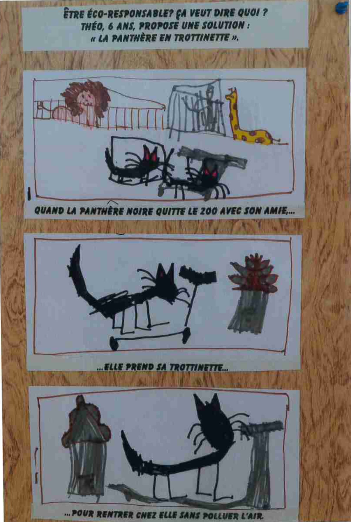 photo 1 (c) Leclerc Chauvin