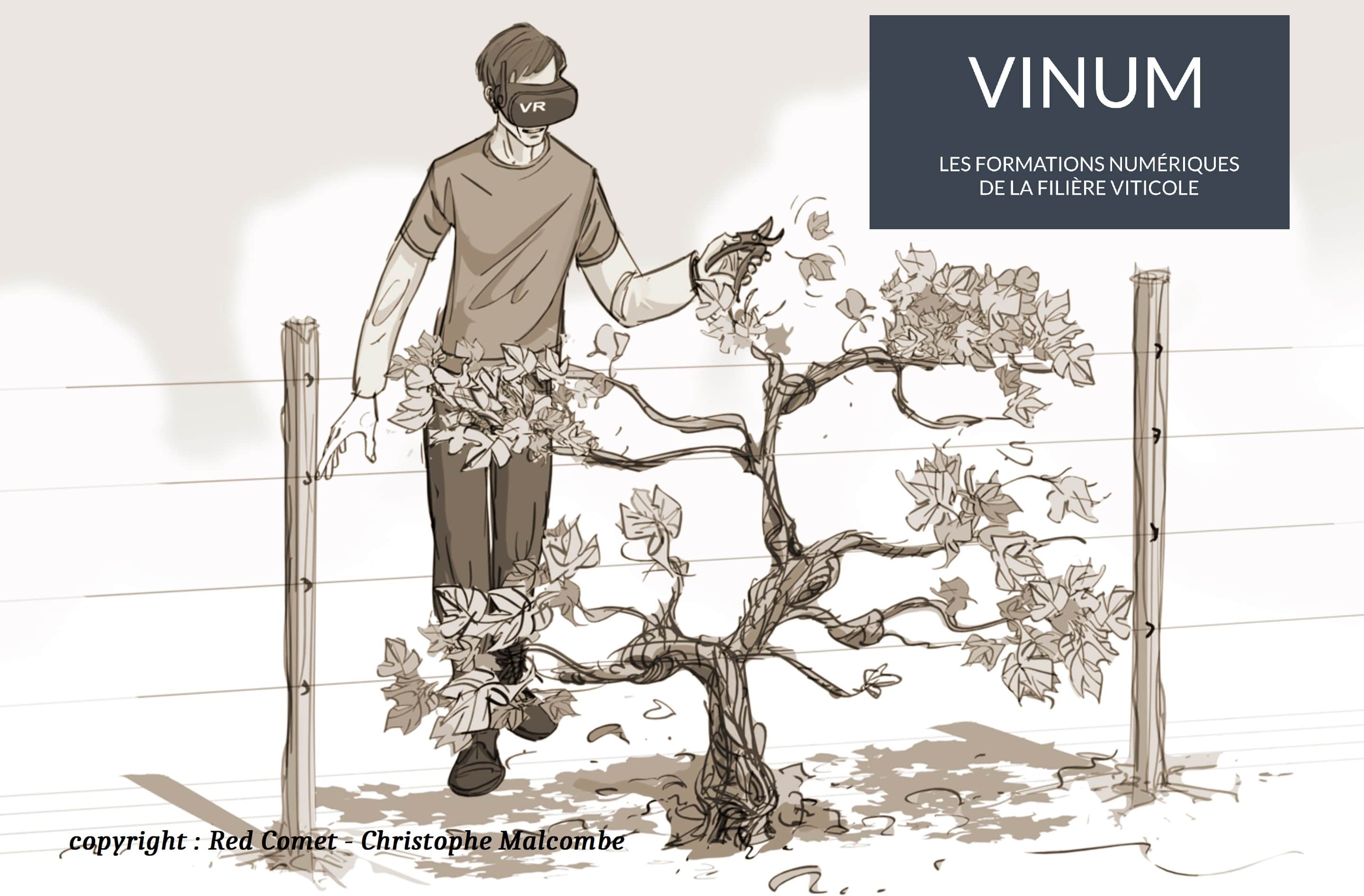 VINUM