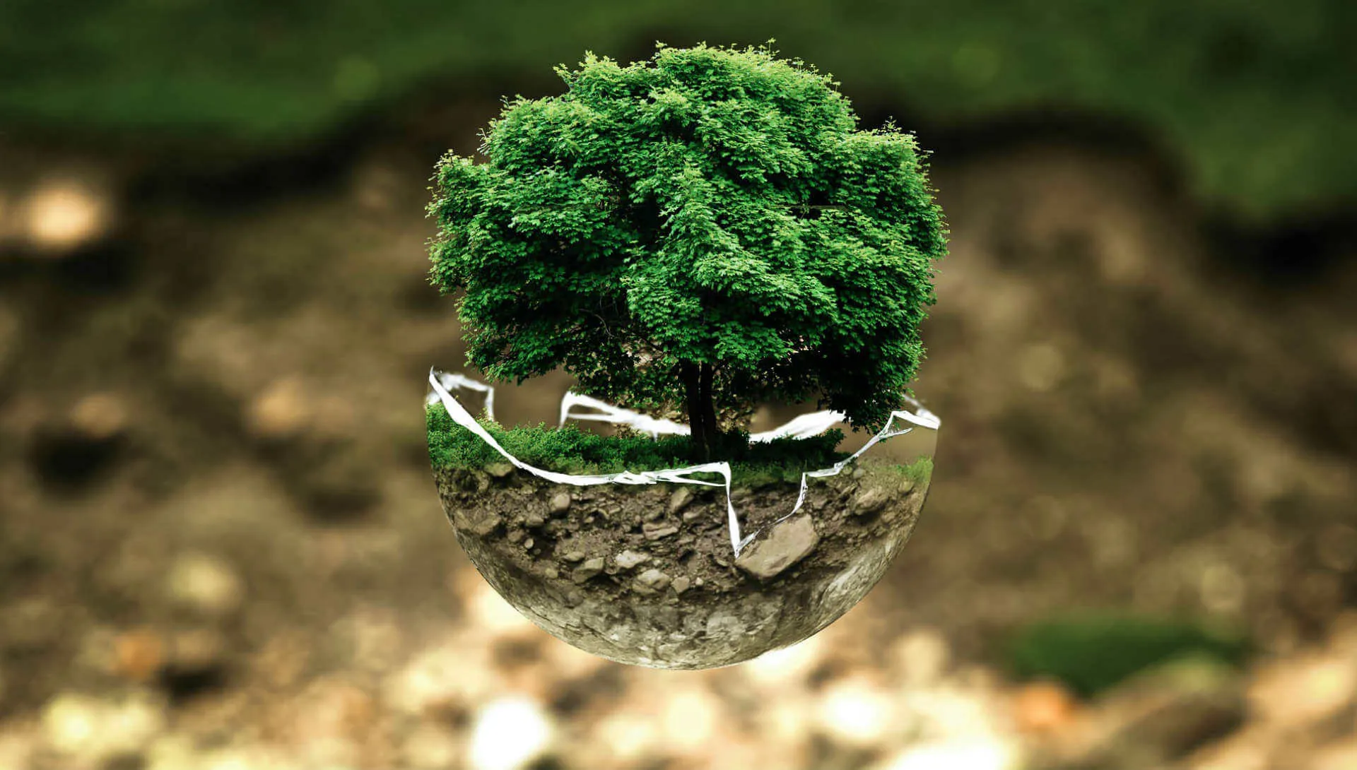 Illustration environnement – Image par Bela Geletneky de Pixabay copie