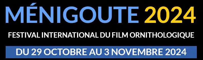 entete menigoute copie