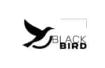 BLACK BIRD