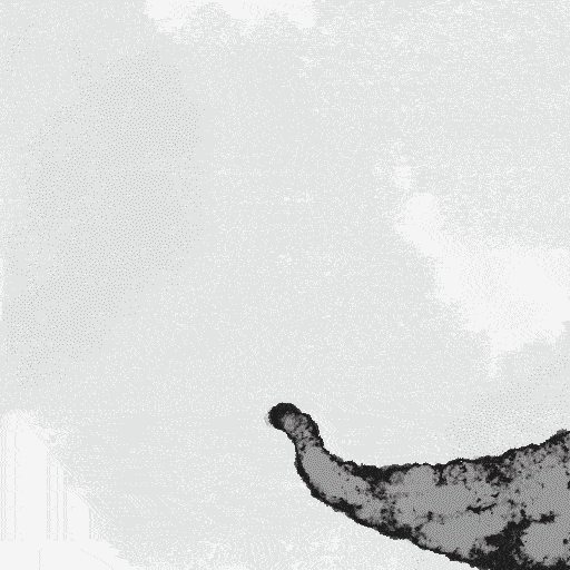 CarteDeVoeux_2025-26_M1-27_SHENG_Tong